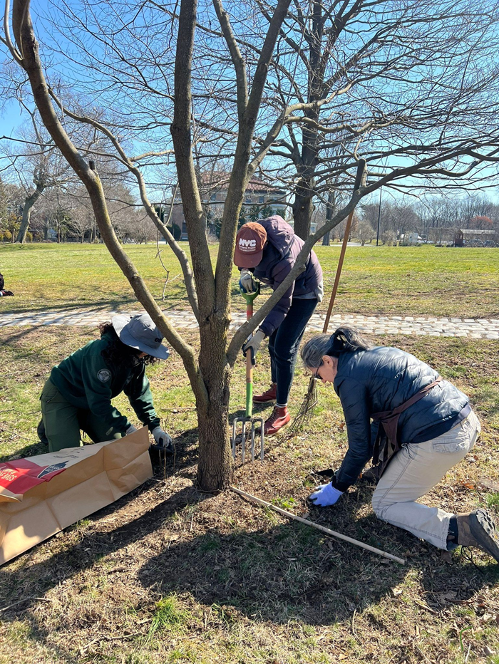 Environmental and Tree Stewardship