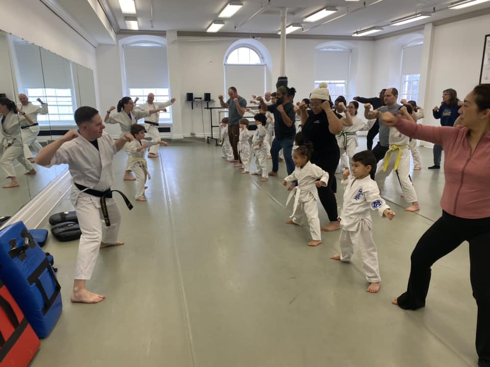 Seido Karate