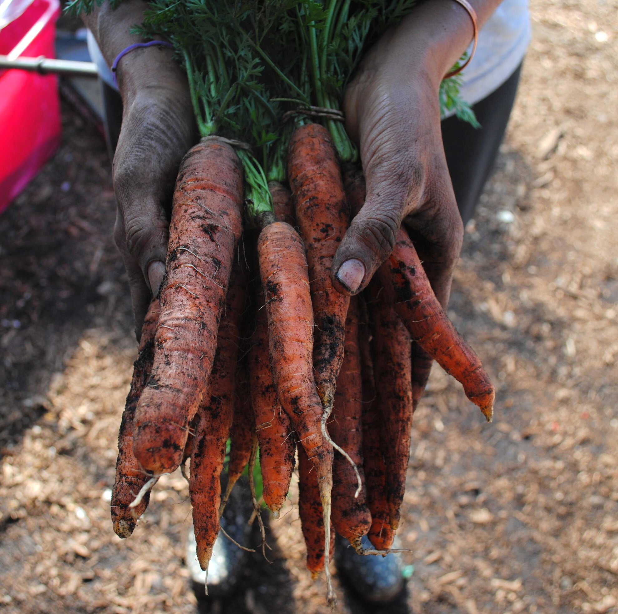 Farm Stewardship