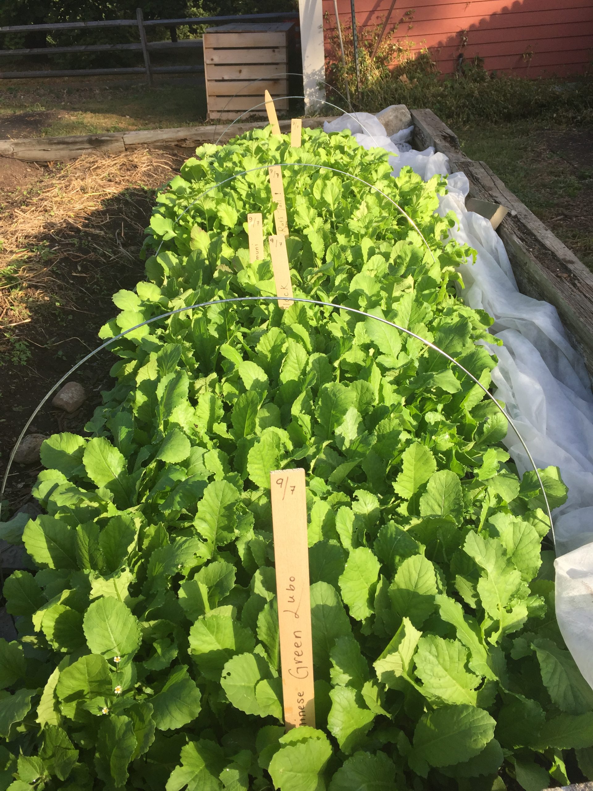 Crop-Planning-3-scaled