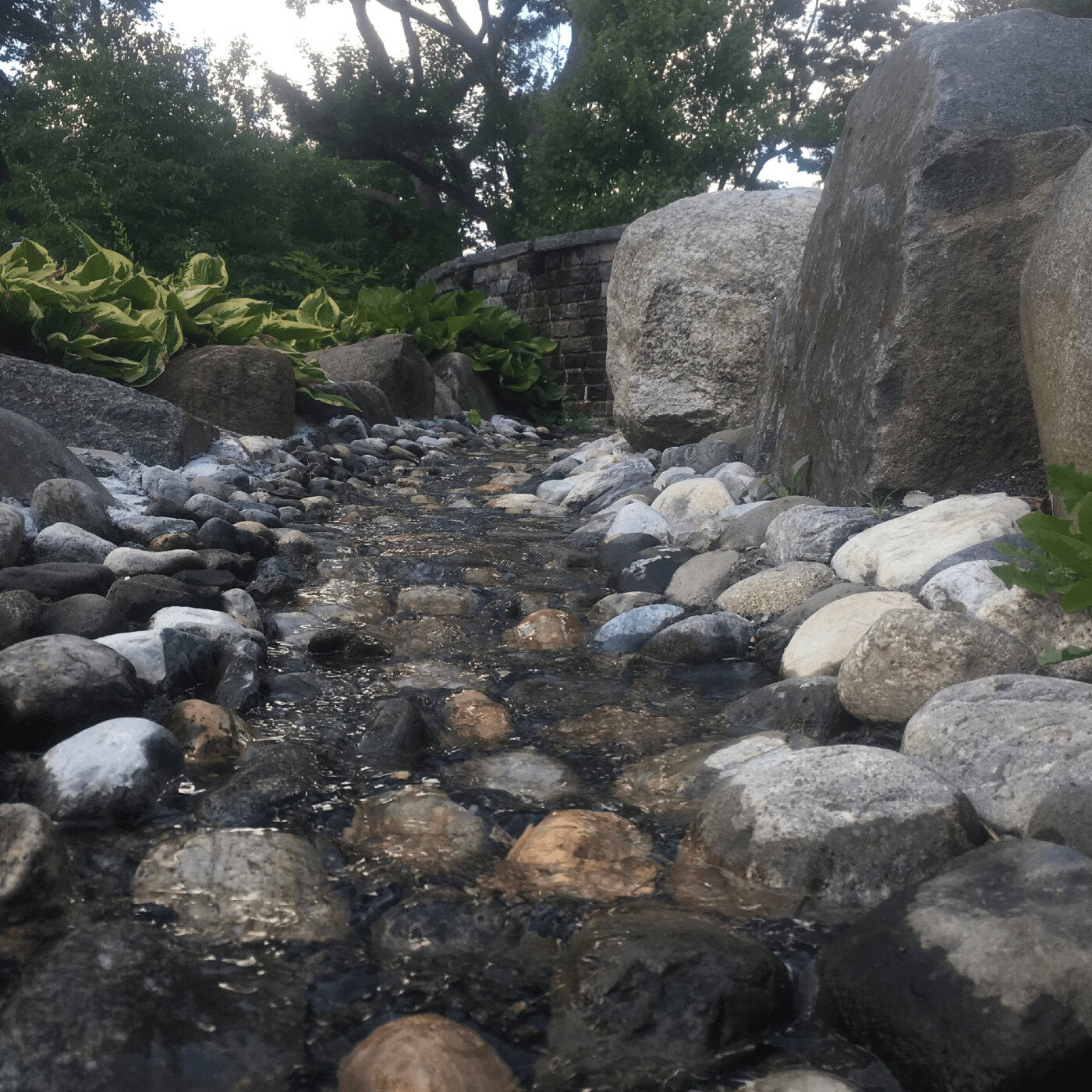 Shinrin-Yoku United presents: Forest Bathing Nature Therapy