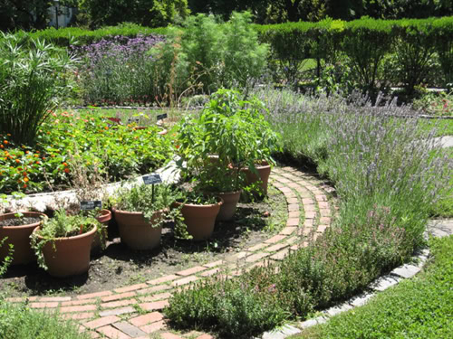 Herb-Garden