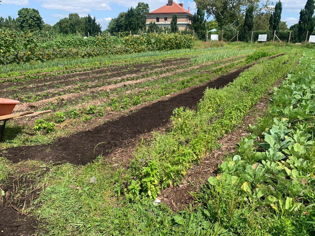 Heritage Farm and Compost Tour