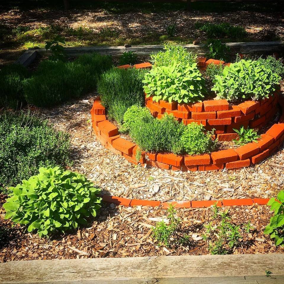 Farm herb garden